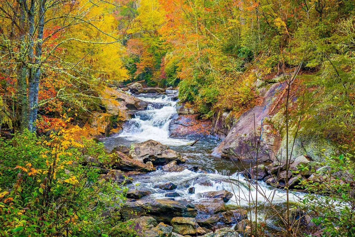 A tranquil exterior scene featuring flowing water, vibrant autumn foliage, and natural rock formations. The image captures people engaging in outdoor activities like hiking, pausing to photograph the landscape, and enjoying the serenity of the stream.